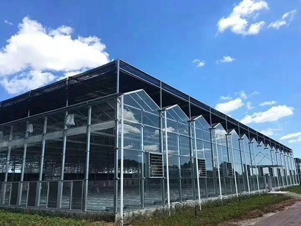 product-600-450